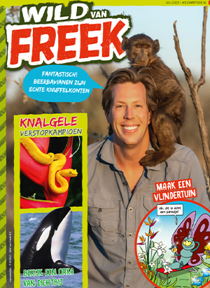 Wild van Freek Cadeau